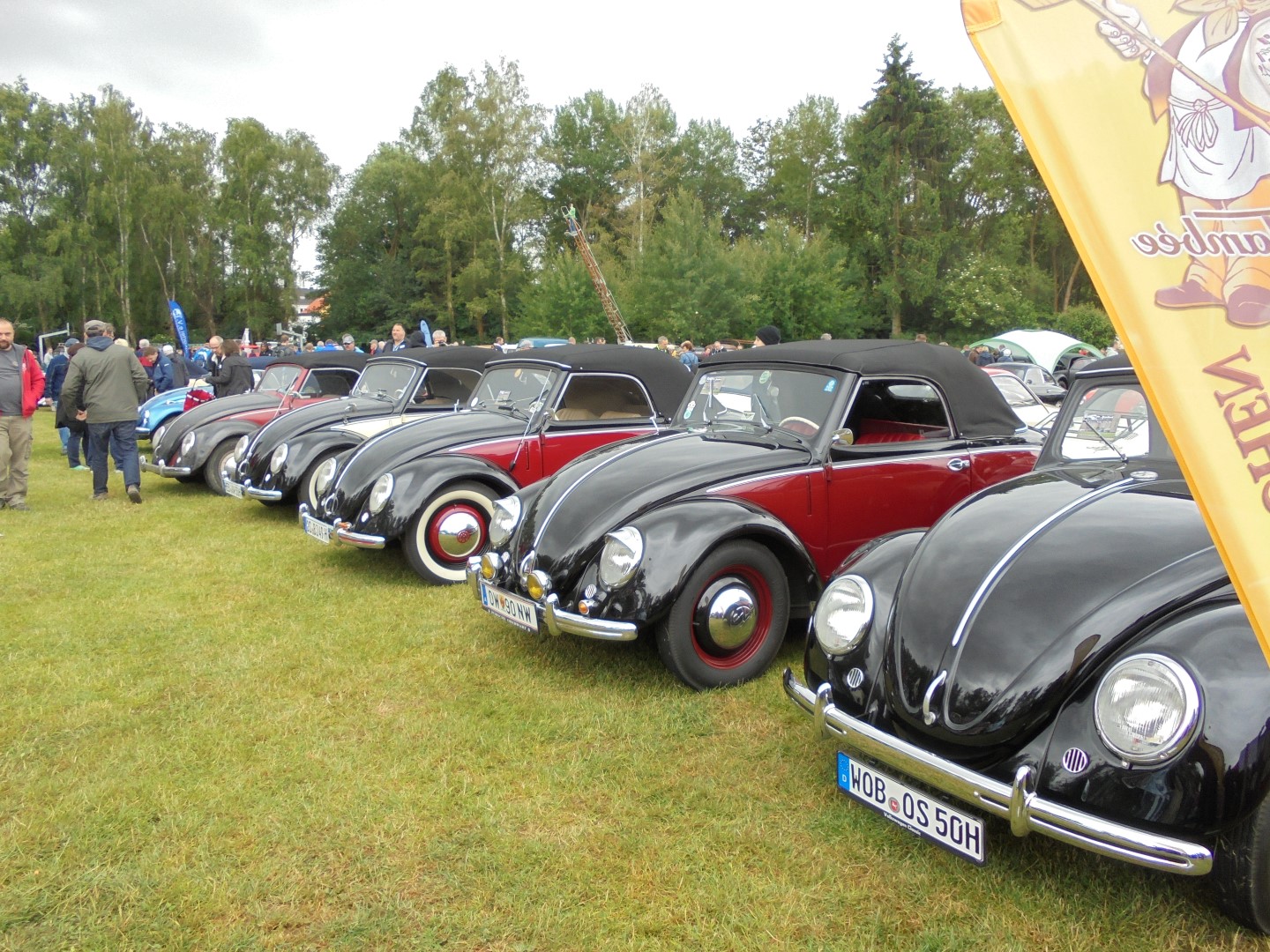 2015-06-19 bis 20 VW-Kfertreffen Bad Camberg